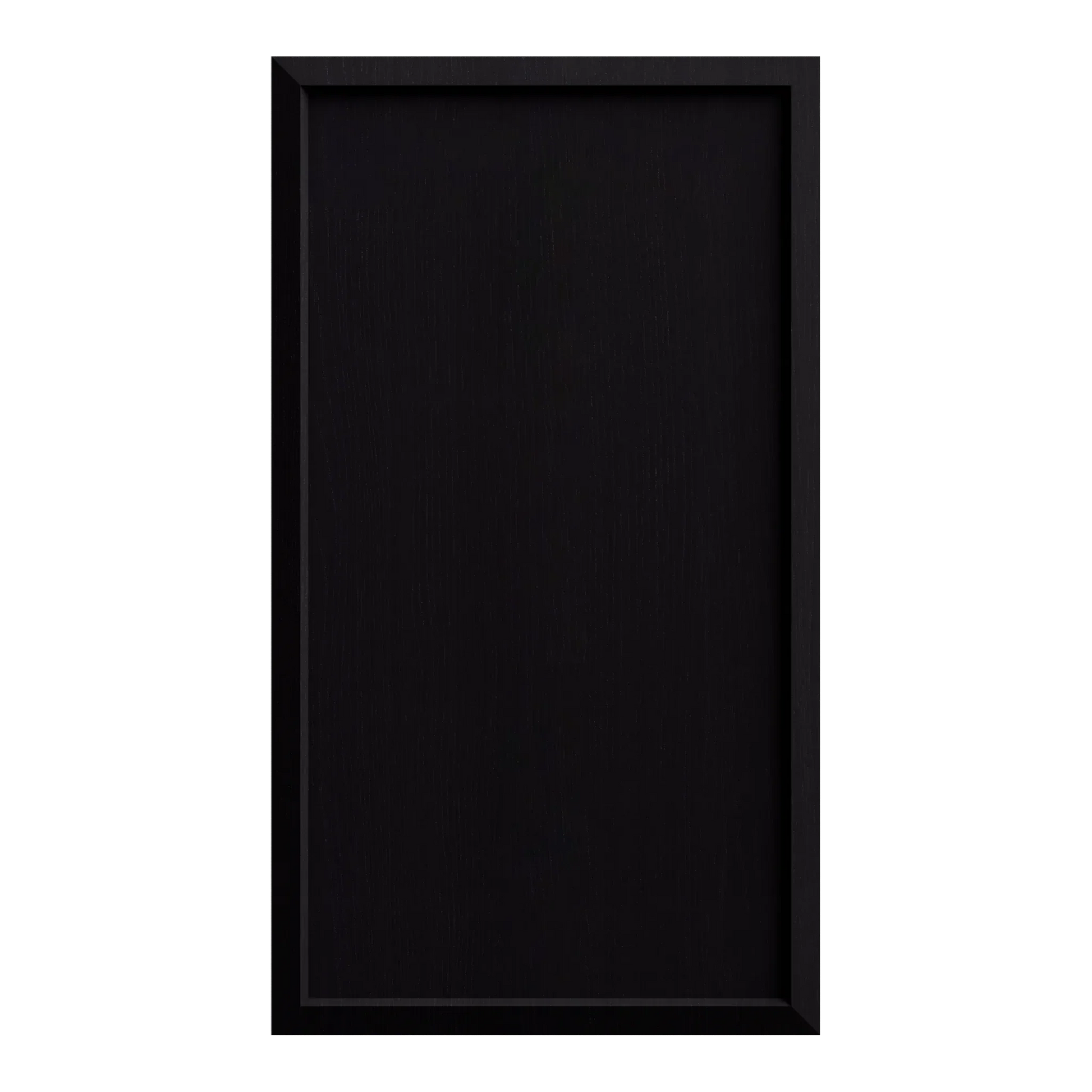 CHBLATTI2MSV080045F