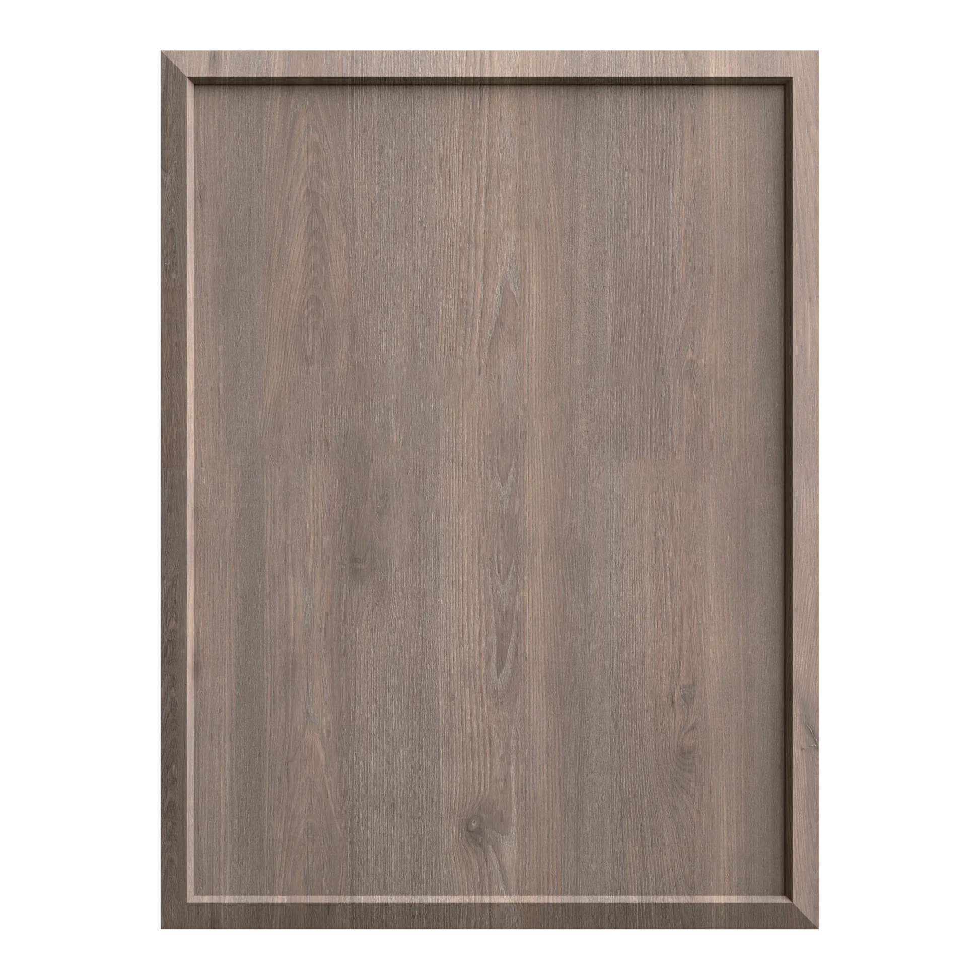 Attitude Collection - Dishwasher Door