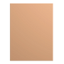 PEPIINFI8MSV080060F