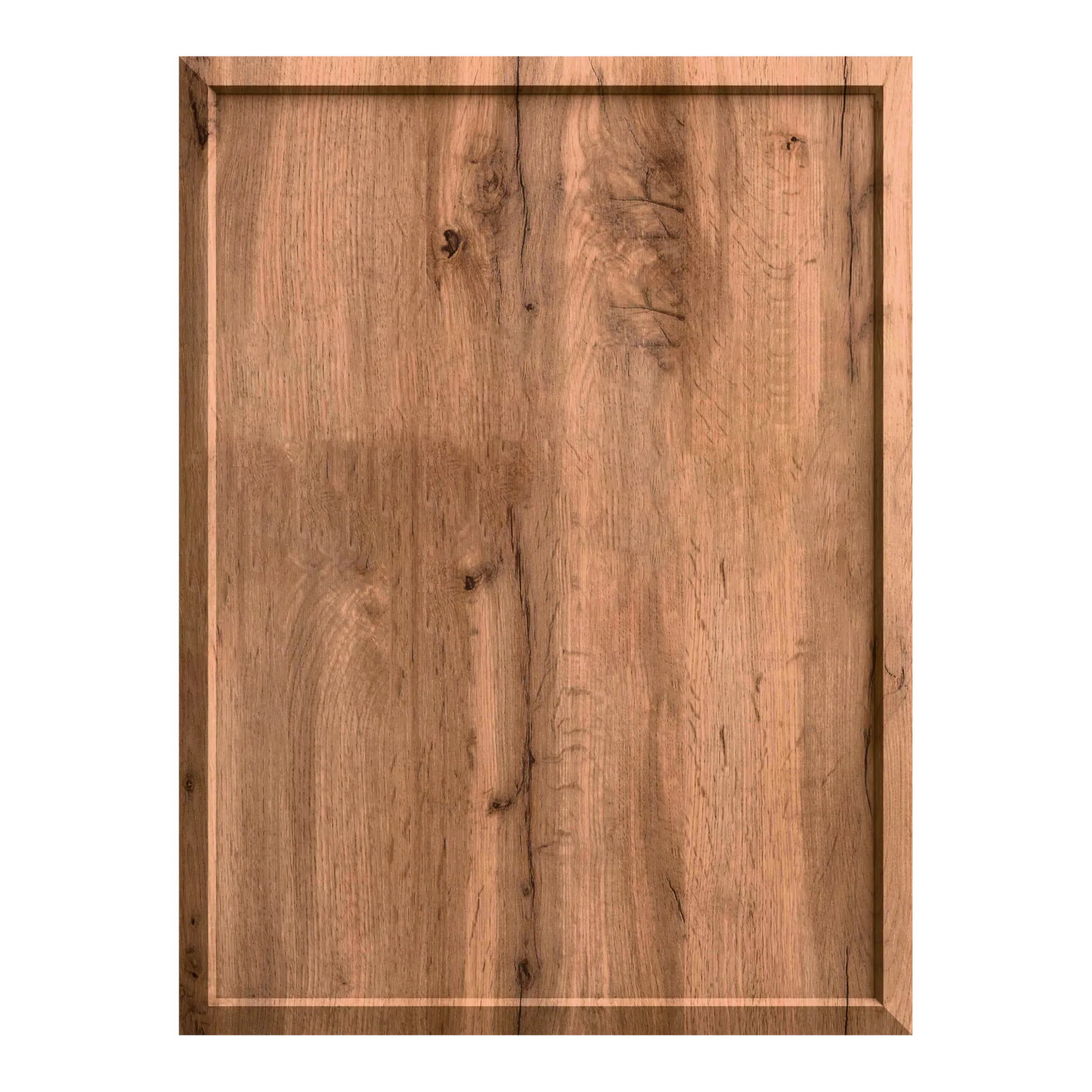 Attitude Collection - Dishwasher Door